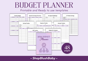 Budget Planner, Budget Planner, Finance Planner, Paycheck Budget Tracker, Bi weekly Budget Planner, Monthly Budget Planner